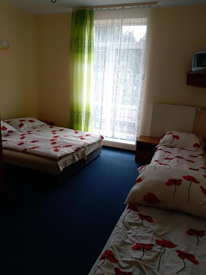 Osrodek Wypoczynkowy Ognisko Hotel Krynica Zdroj Exterior photo